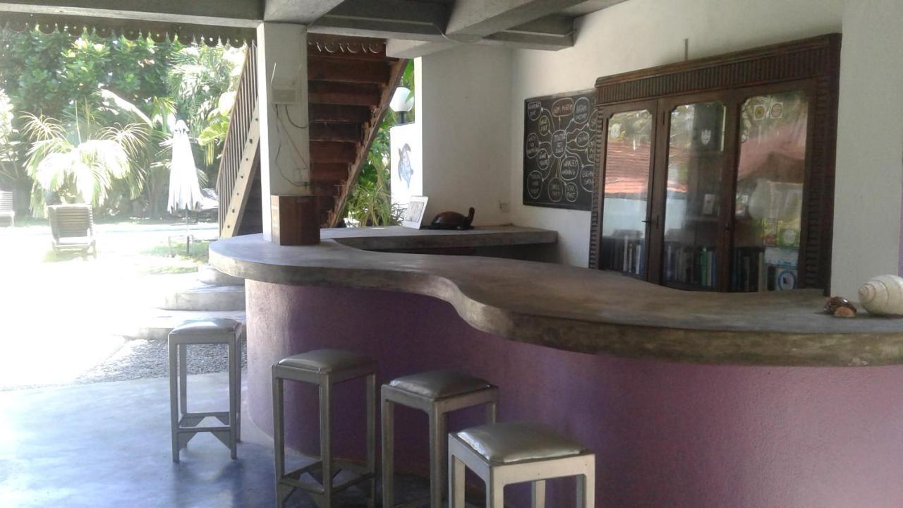 Turtle Eco Beach Matara Exterior photo