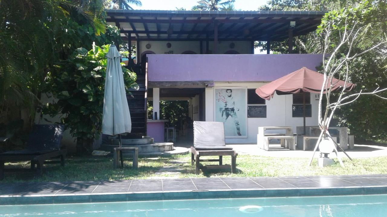 Turtle Eco Beach Matara Exterior photo