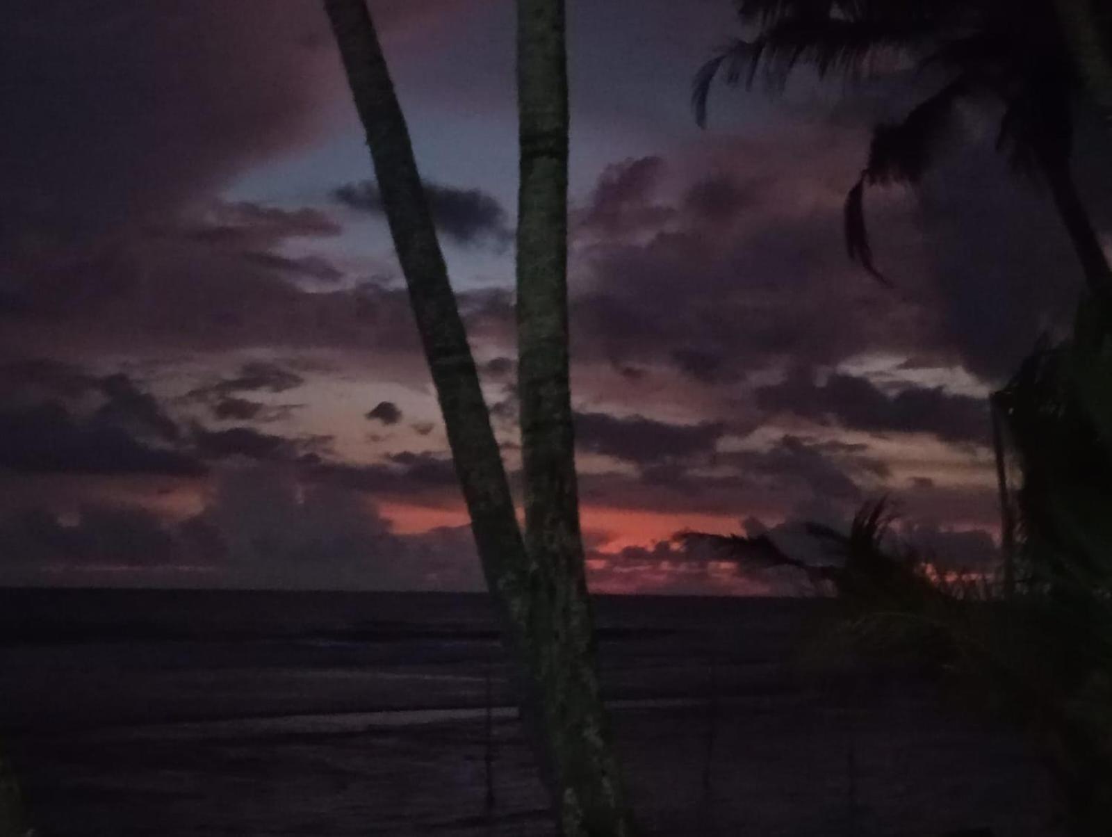 Turtle Eco Beach Matara Exterior photo