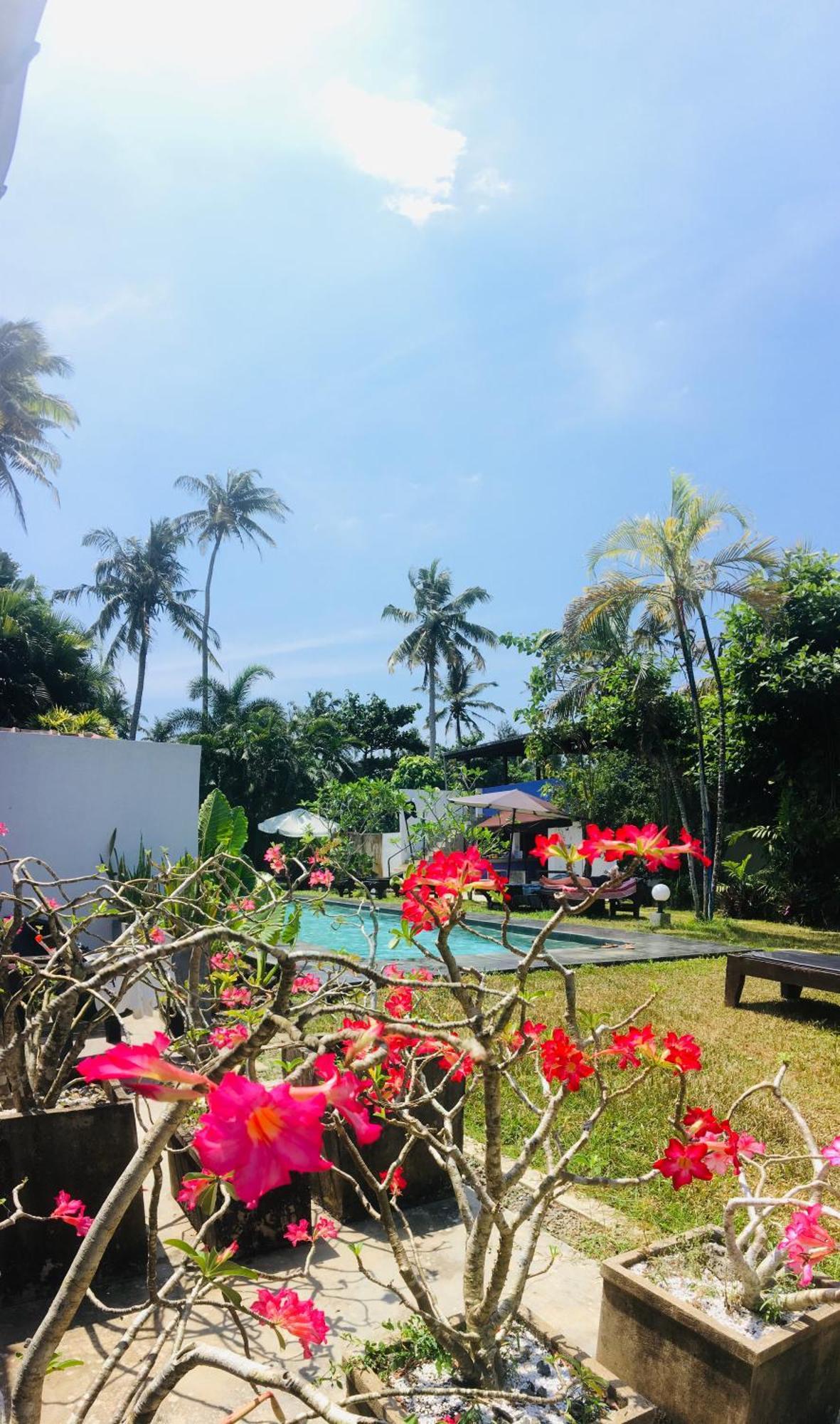 Turtle Eco Beach Matara Exterior photo