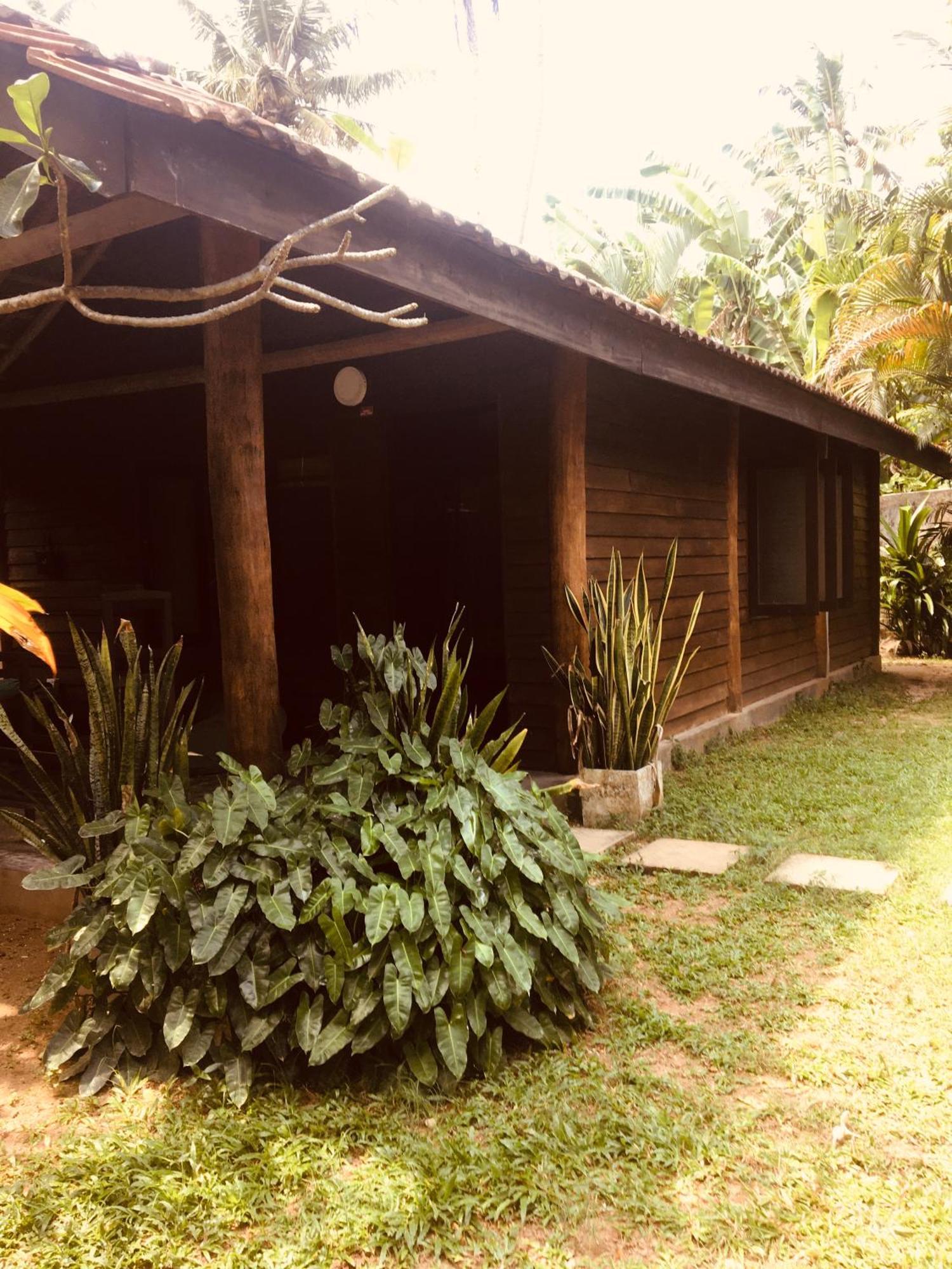 Turtle Eco Beach Matara Exterior photo