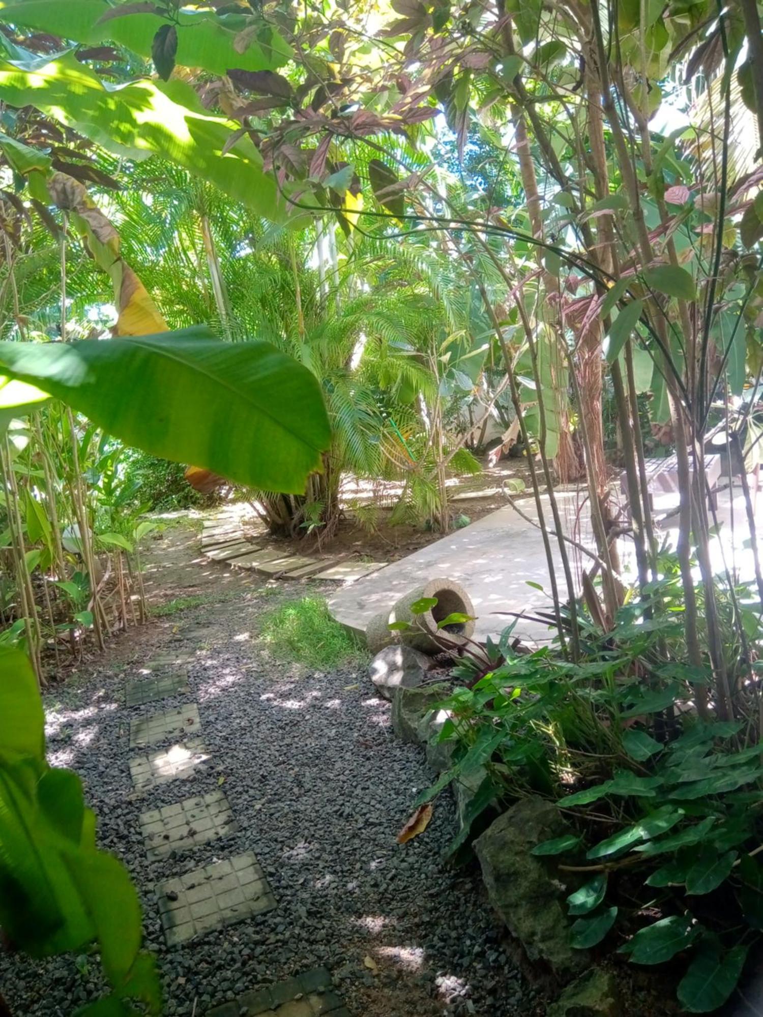 Turtle Eco Beach Matara Exterior photo