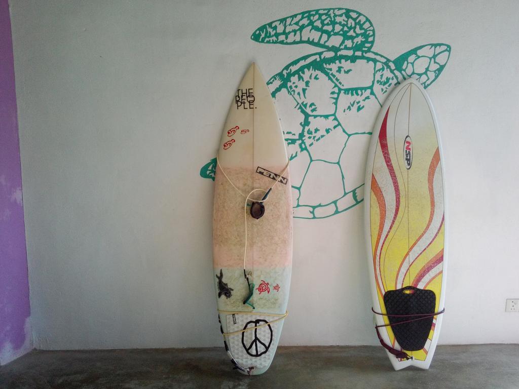 Turtle Eco Beach Matara Exterior photo