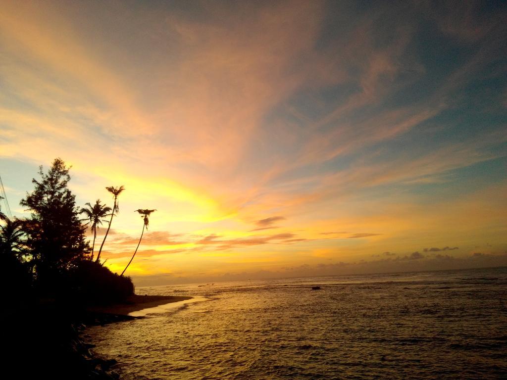Turtle Eco Beach Matara Exterior photo