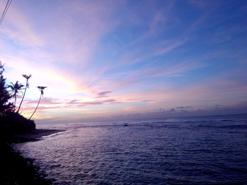 Turtle Eco Beach Matara Exterior photo
