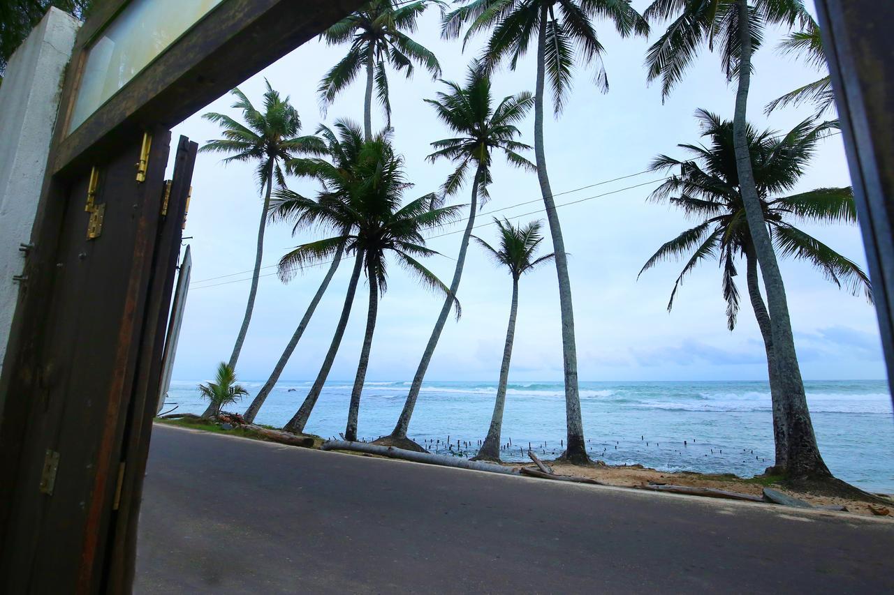 Turtle Eco Beach Matara Exterior photo