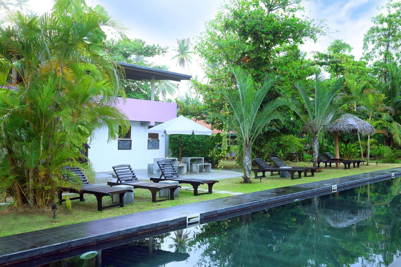Turtle Eco Beach Matara Exterior photo