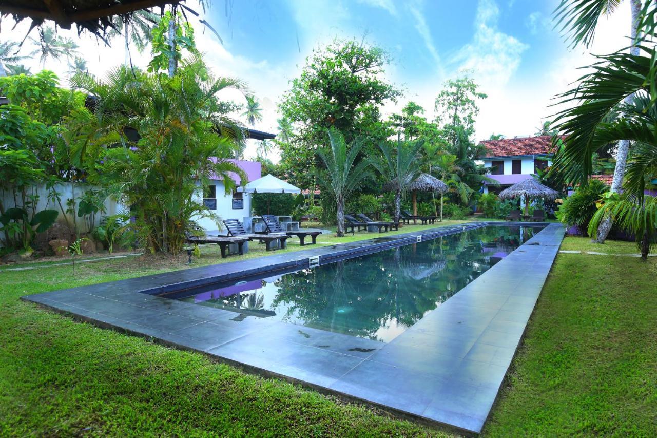 Turtle Eco Beach Matara Exterior photo